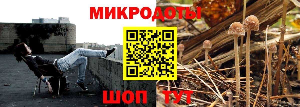 Псилоцибиновые грибы Cubensis  Вход с VPN  Элиста 